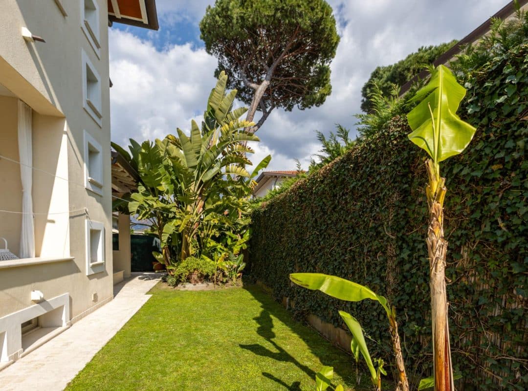 Villa-affitto-forte dei marmi-giardino