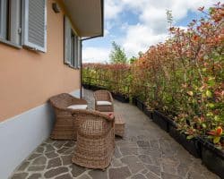 Villa-in-vendita-londa-esterno (10)
