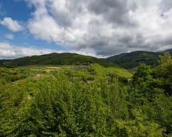 Villa-in-vendita-londa-vista (3)