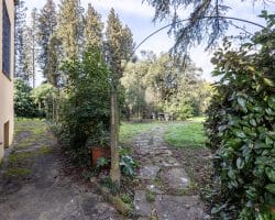 Villa-vendita-firenze-giardino (2)