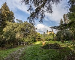 Villa-vendita-firenze-giardino (3)