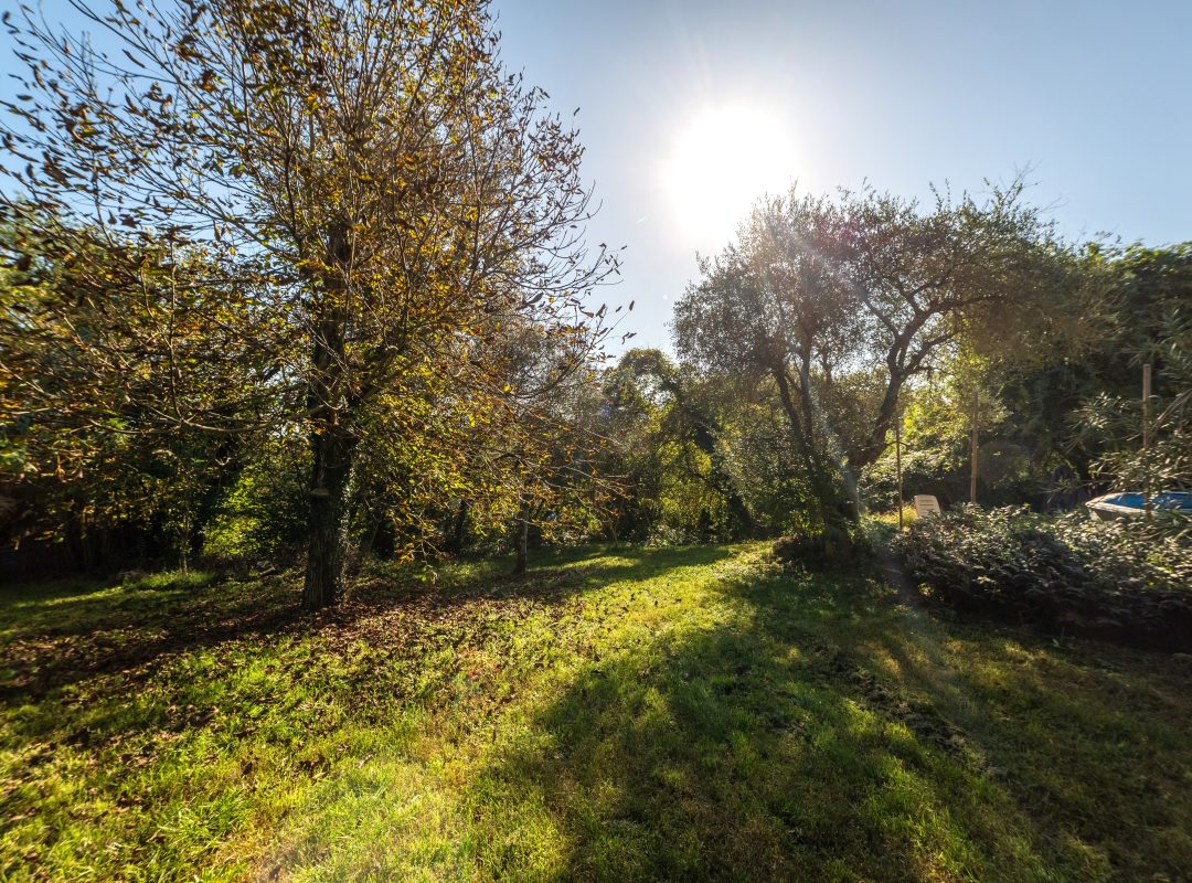 villa-vendita-rignano sull'arno-giardino (6)